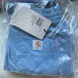 Carhartt Flint Pants in a size small. Icy Blue. In packaging NWT